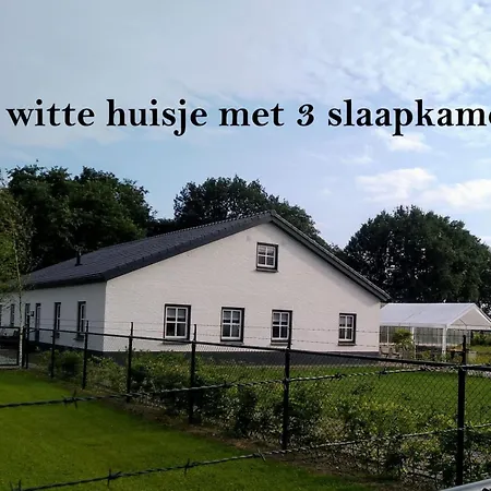 Ut Witte *