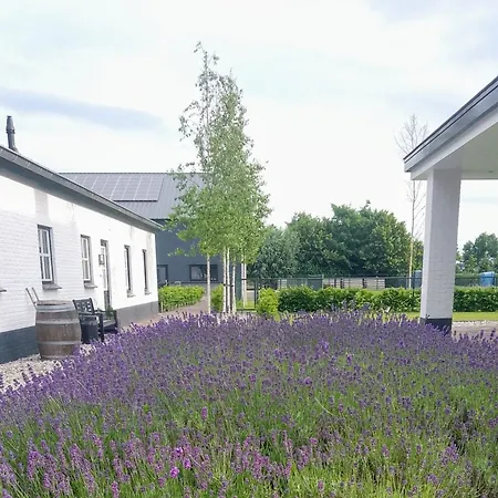 Feriehus Ut Witte Venhorst