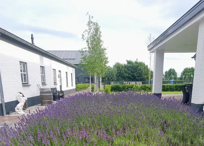 Holiday home Ut Witte Venhorst